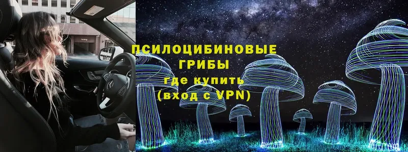 МЕГА ТОР  Светлоград  Псилоцибиновые грибы Magic Shrooms 